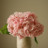 Light Pink Hydrangea Flower