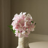 Light Pink Hydrangea Macrophylla Flower