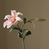 Light Pink Large Lily Flower