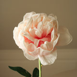 Light Pink Large Peony Flower