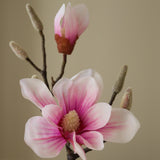 Light Pink Southern Magnolia Branch