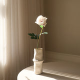 Light Purple Large Peony Flower