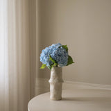 Light Blue Hydrangea Flower