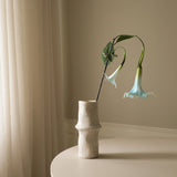 Light Blue Large Datura Stramonium Flower