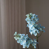 Light Blue Lilac Flower