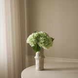 Light Green Hydrangea Flower