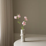 Light Pink Large Cosmo Daisy Flowers