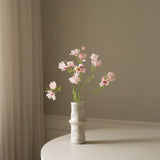 Light Pink Large Cosmo Daisy Flowers