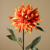 Orange Cactus Dahlia Flower