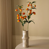 Orange Chinese Lantern Lily Flowers