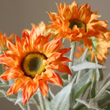 Orange Pacino Sunflower Bouquet