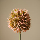 Orange Small Allium Flower