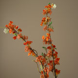 Orange Snow Willow Branch