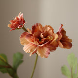 Orange Zinnia Flowers