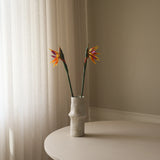 Orange Strelitzia "Bird of Paradise" Flower
