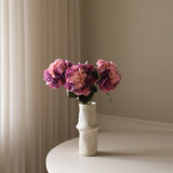 Faded Pink Hydrangea Flower