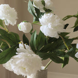 Peony Bouquet