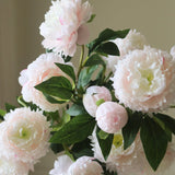 Peony Bouquet