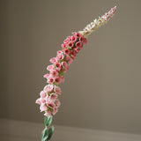 Pink Foxtail Flower