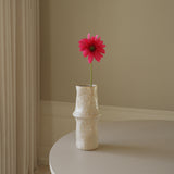 Pink Gerbera Daisy Flower