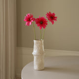 Pink Gerbera Daisy Flower