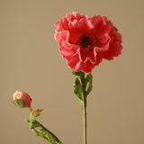 Pink Large Poppy Flower