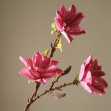 Pink Lily Magnolia Branch