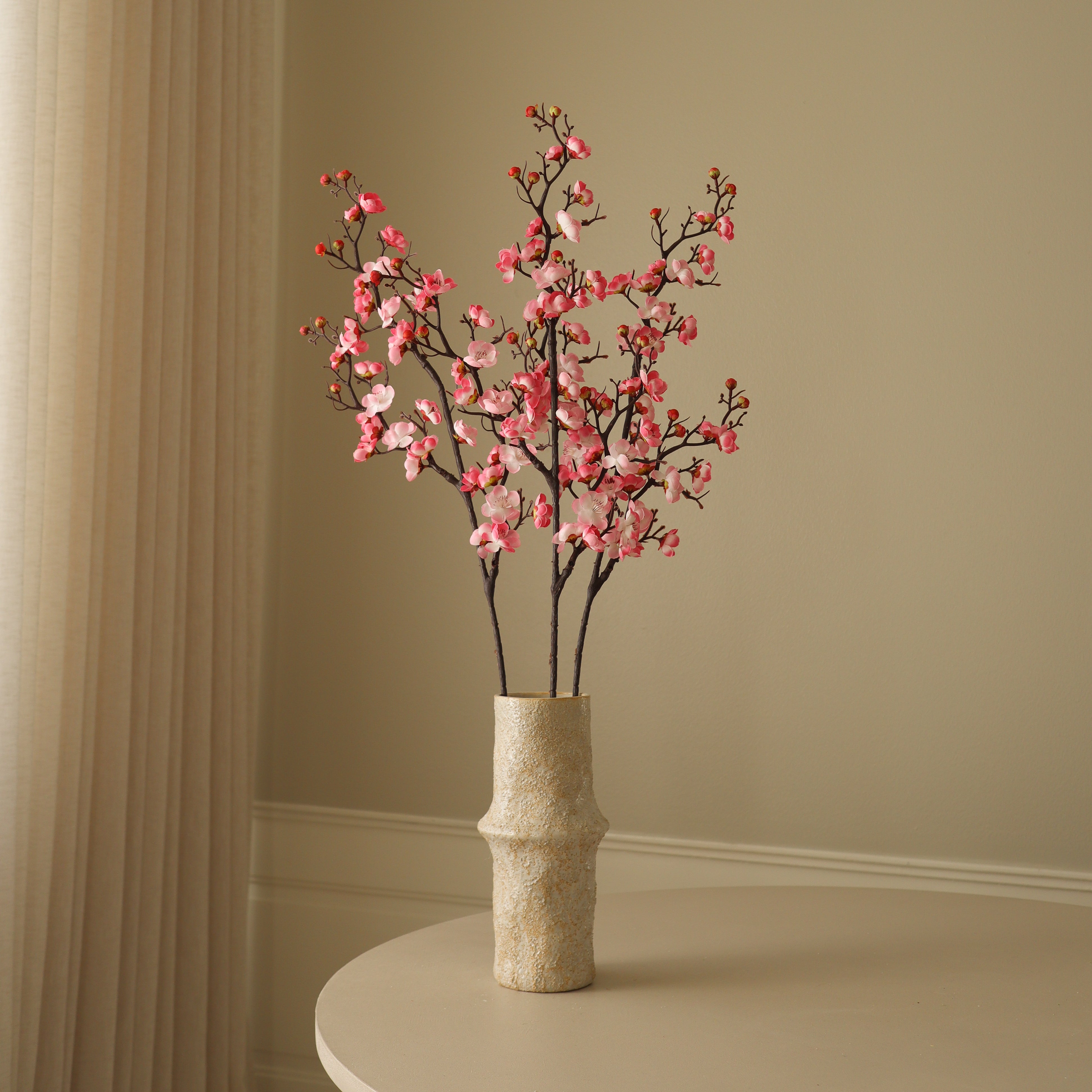 plum blossom indoor plant Shop Plum Blossom Branch from Botané