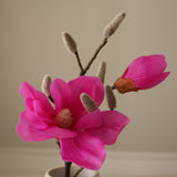 Pink Southern Magnolia Branch