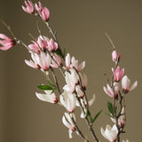 Pink Star Magnolia Branch