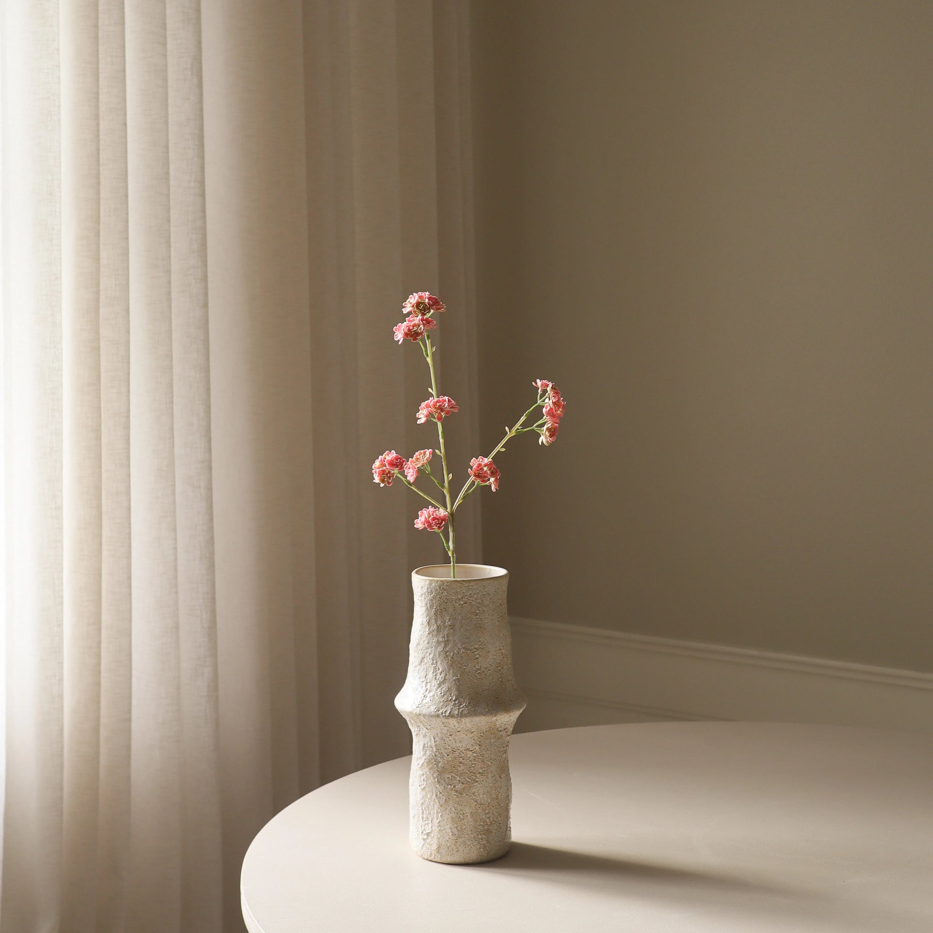 succulent pink stem Pink Succulent Stem – Botané