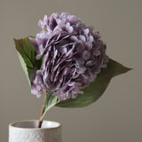 Purple Hydrangea Flower