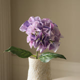 Purple Hydrangea Macrophylla Flower