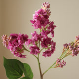 Purple Lilac Flower