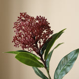 Purple Skimmia Berry Branch