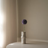 Purple Allium Giganteum