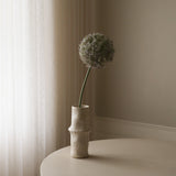 Purple Allium Gladiator Flower