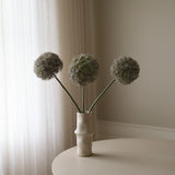 Purple Allium Gladiator Flower