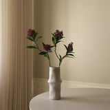 Purple Skimmia Berry Branch