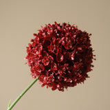 Red Allium Giganteum