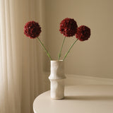 Red Allium Giganteum