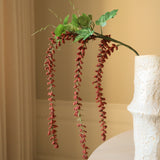 Red Amaranthus "Emerald Tassels" Flower