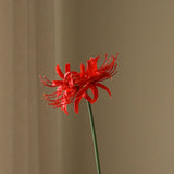 Red Higanbana "Spider Lilies" Amaryllis Flower