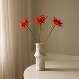 Red Higanbana "Spider Lilies" Amaryllis Flower