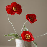 Red Poppy Flower