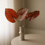 Red Alocasia Leaf