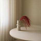 Red Amaranthus Caudatus "Dreadlocks" Flower