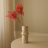 Red Cotinus Coggygria Young Lady Flower