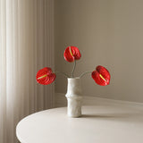 Red Anthurium Flower