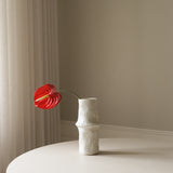 Red Anthurium Flower